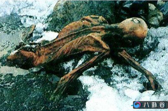 世界最古老的木乃伊 深度解密“奥茨”冰人