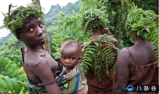 世界上最原始的部落 俾格米人8岁便生儿育女