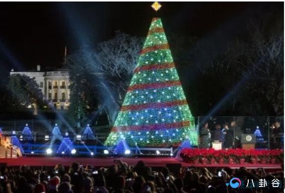 拥有最大圣诞树的十大国家排行榜  好亮眼