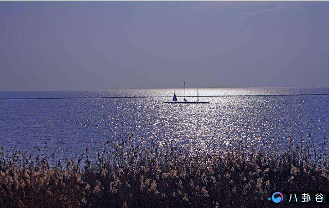 中国五大淡水湖的资料     我国五大淡水湖