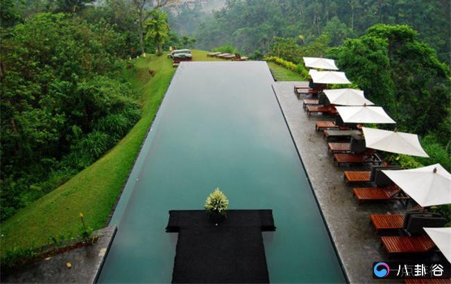 最独特神奇的游泳池 新加坡的滨海湾空中花园适合冒险者